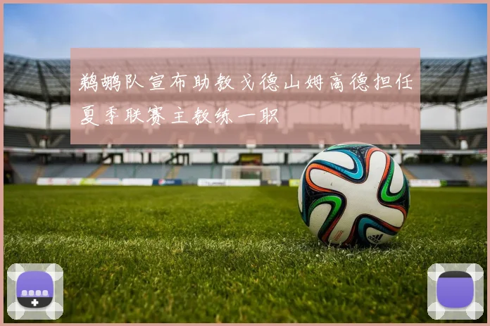 鹈鹕队宣布助教戈德山姆高德担任夏季联赛主教练一职