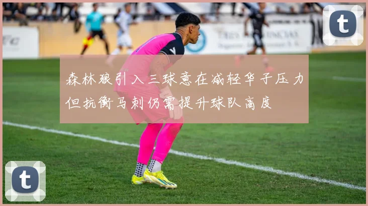 森林狼引入三球意在减轻华子压力但抗衡马刺仍需提升球队高度